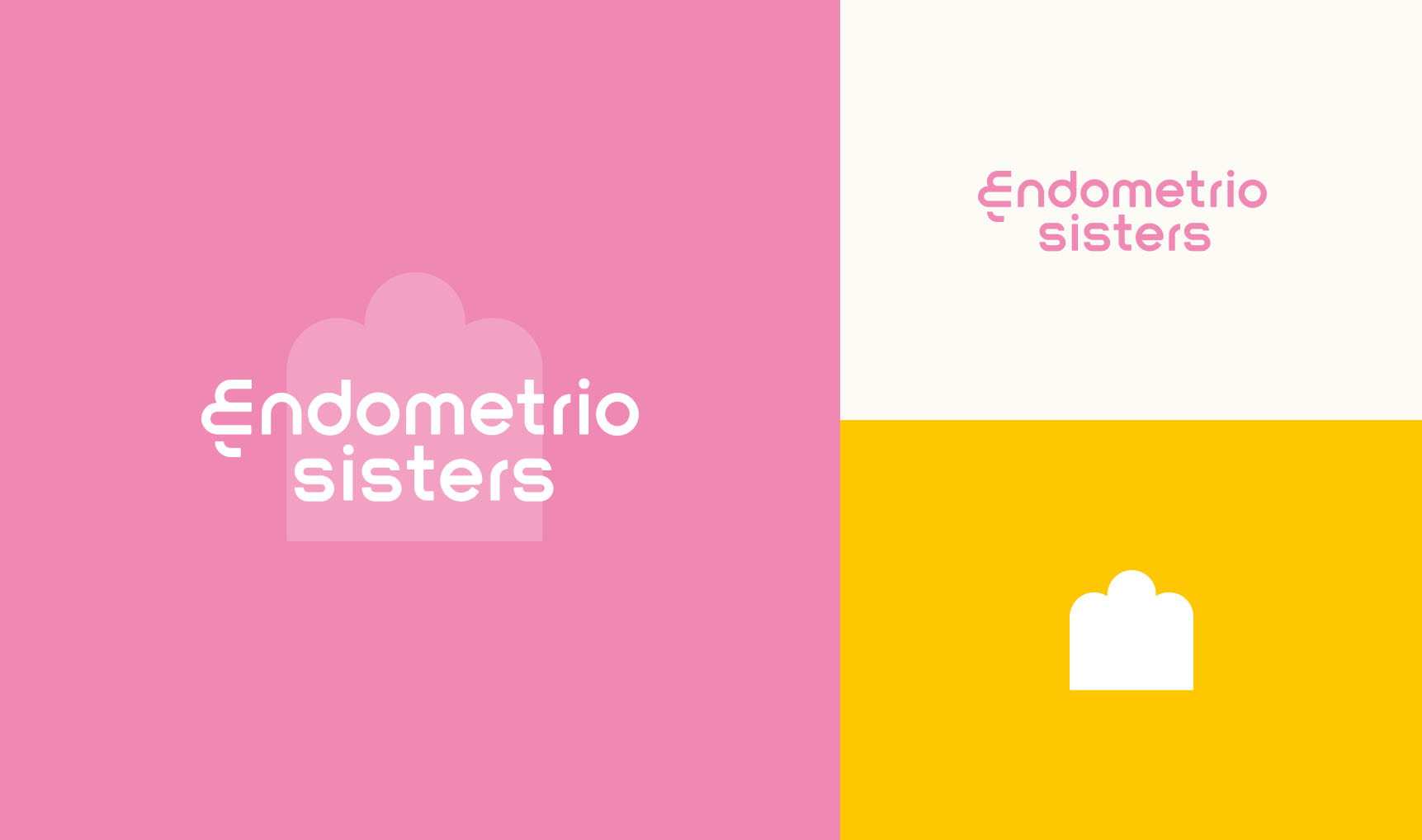 Endometriosis Support Singapore Colours