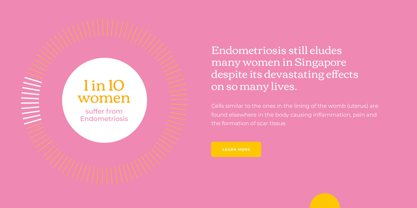 Endometriosis Support Singapore Facts