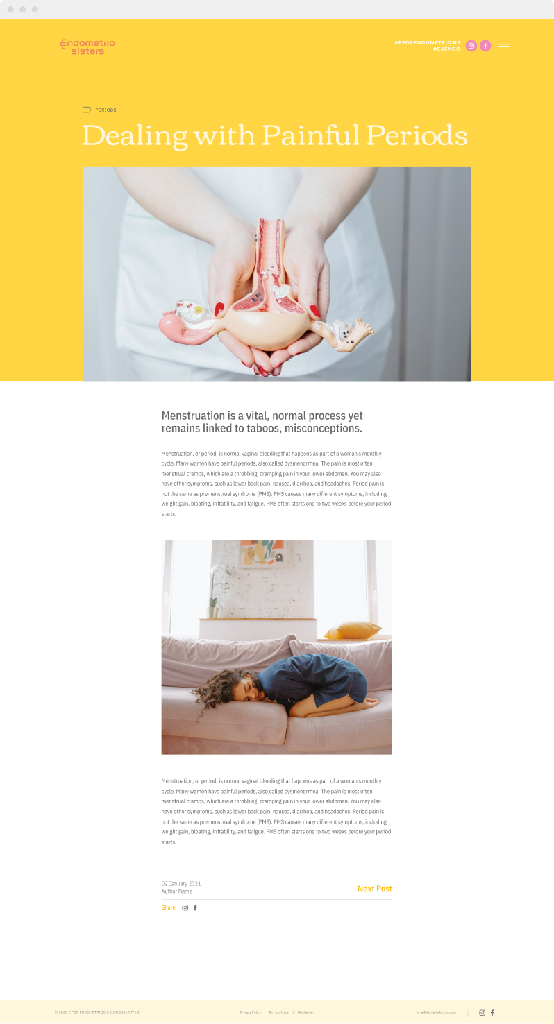 Endometriosis Support Singapore Website 1